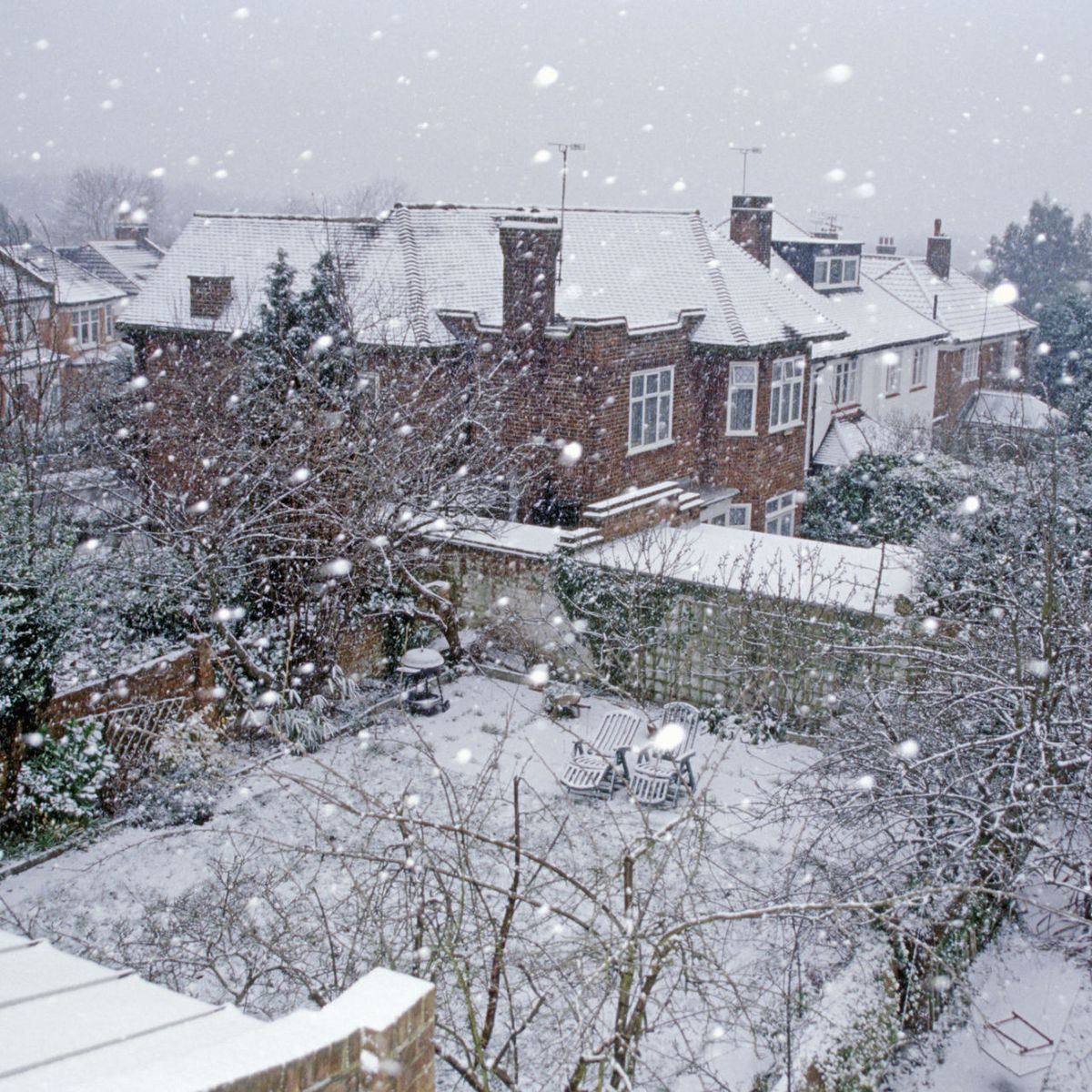 Snow Falls in Tokyo for the First Time in November Since 1962