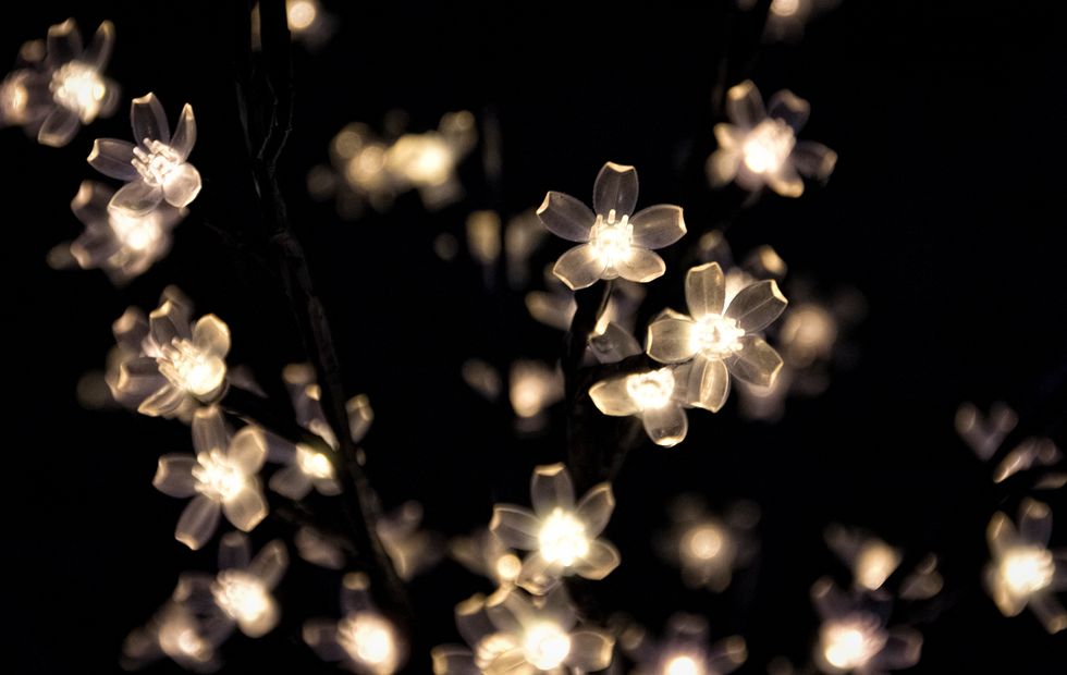 Close-Up Of Illuminated Decorations During Christmas