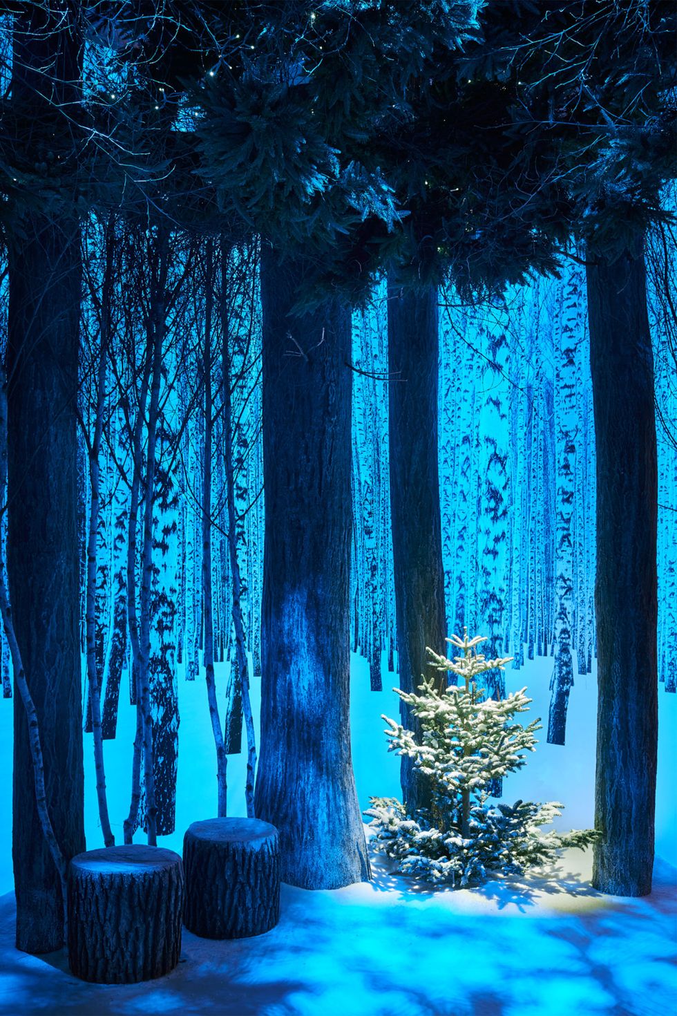 Blue, Branch, Winter, Tree, Forest, Trunk, Majorelle blue, Electric blue, Snow, Freezing, 