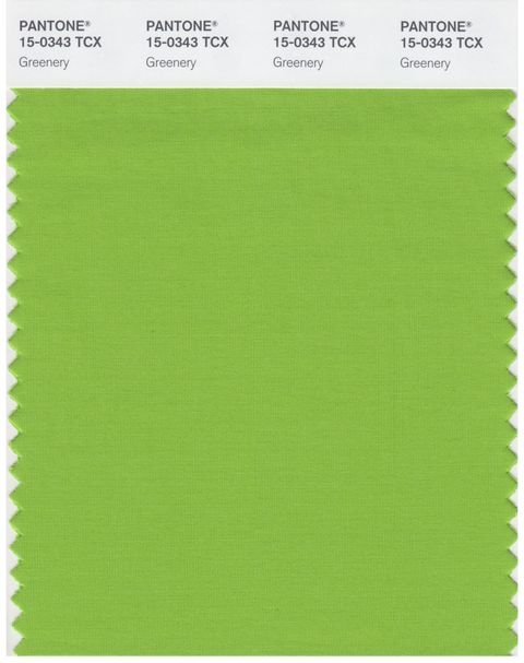 Pantone Greenery Colour of the Year 2017