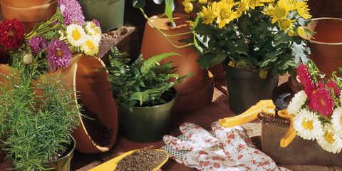 Flower pots and gardening tools