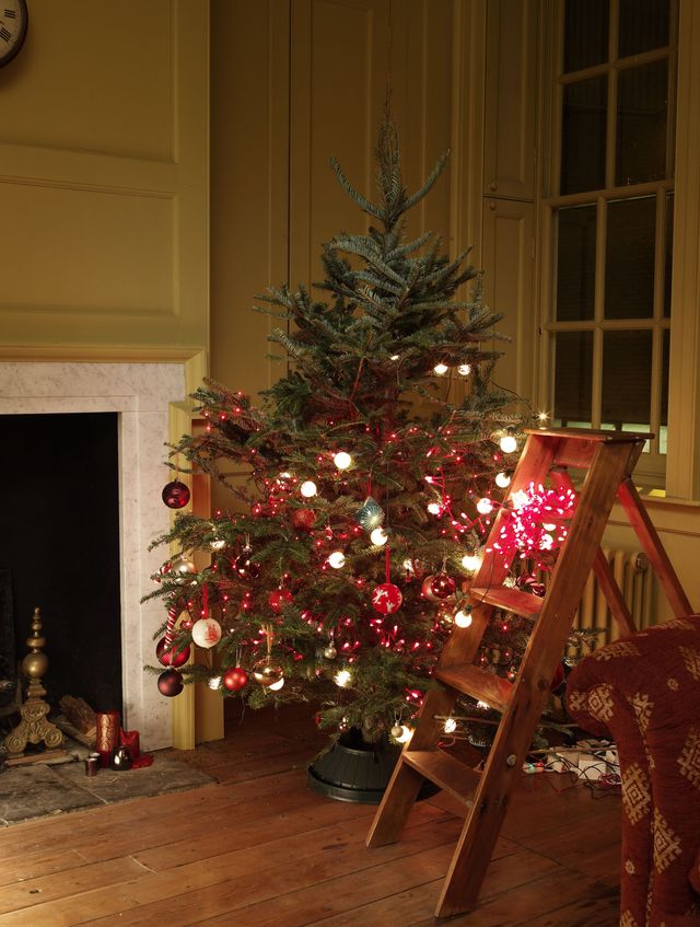 half-lit christmas tree trend