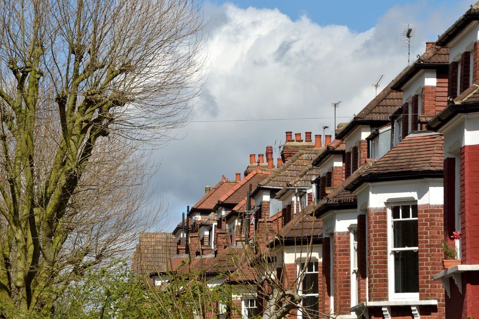 A row of red brick terraced houses next to a bare, cropped tree.