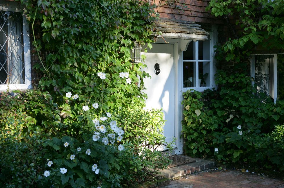 White door with black knocker, surrounded by white flowering plants
