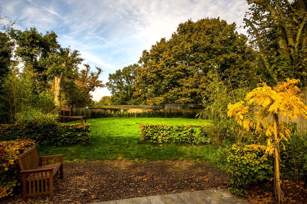 Nutbourne Studion garden