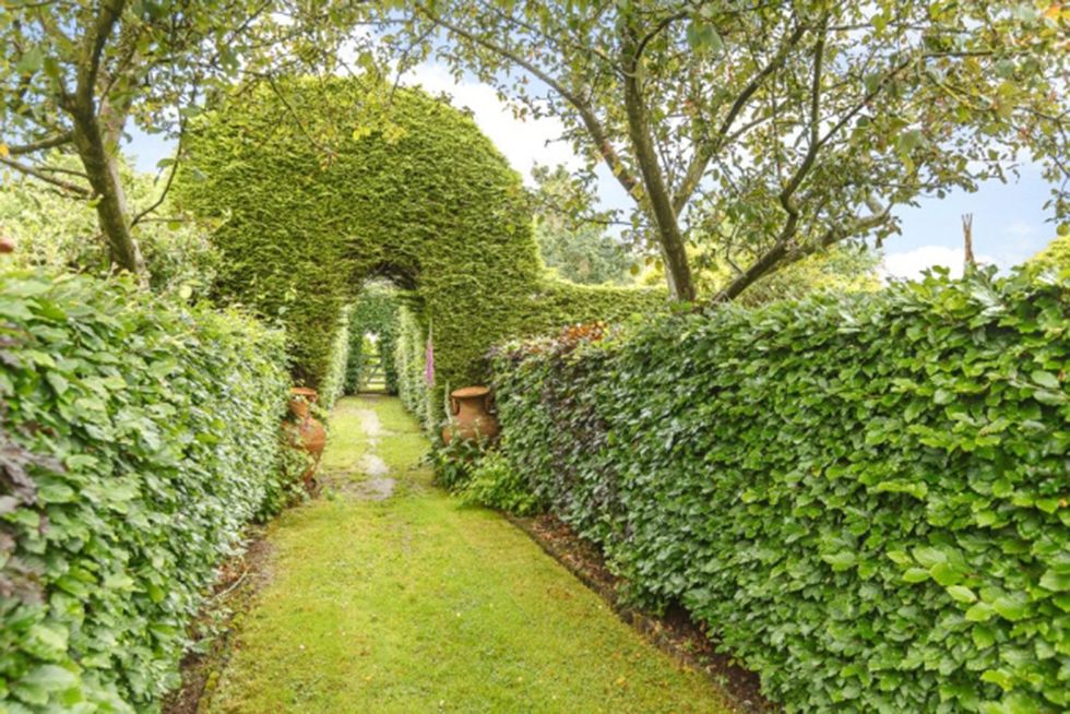 Vegetation, Plant, Green, Shrub, Hedge, Leaf, Garden, Walkway, Arch, Groundcover, 