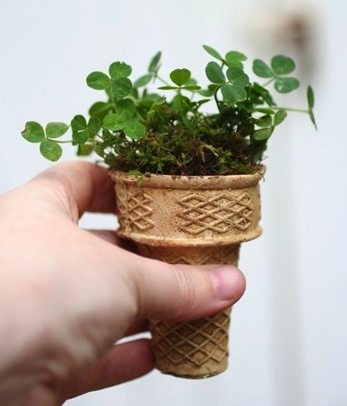 Leaf, Ice cream cone, Dessert, Flowerpot, Herb, Thumb, Houseplant, Annual plant, Plant stem, Ice cream, 