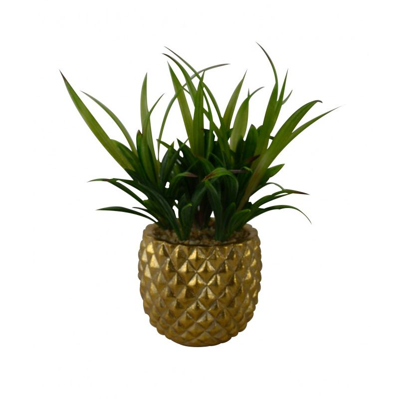 <p>In case you hadn't heard, pineapples and <a href="http://www.housebeautiful.co.uk/garden/plants/how-to/a538/how-to-grow-succulents/" data-tracking-id="recirc-text-link">succulents</a> have both been huge home trends for ages, so this two-in-one buy may just be SS17's ultimate accessory...&nbsp;<strong data-redactor-tag="strong" data-verified="redactor"><em data-redactor-tag="em" data-verified="redactor">£10, </em></strong><a href="http://www.joythestore.com/ceramic-pineapple-pot-with-pla" target="_blank" data-tracking-id="recirc-text-link"><strong data-redactor-tag="strong" data-verified="redactor"><em data-redactor-tag="em" data-verified="redactor">Joy</em></strong></a> </p>
