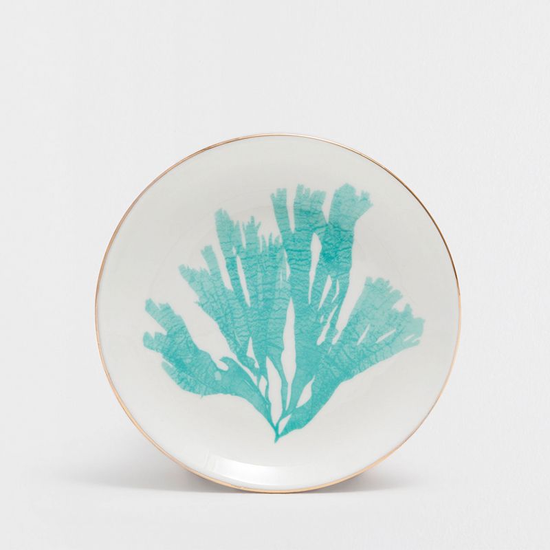 <p>Another hot&nbsp;buy,&nbsp;this coral-motif plate will add a pretty pop of colour to your table.&nbsp;<strong data-redactor-tag="strong" data-verified="redactor"><em data-redactor-tag="em" data-verified="redactor">£9.99, <a href="https://www.zarahome.com/gb/turquoise-coral-porcelain-dessert-tableware/turquoise-coral-porcelain-dessert-tableware-c0p300062065.html" target="_blank" data-tracking-id="recirc-text-link">Zara Home</a>&nbsp;</em></strong></p>