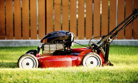 Mowing the lawn