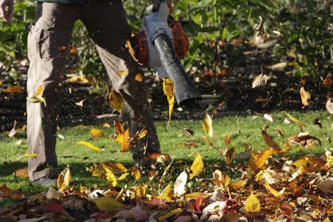 Leaf blower in garden