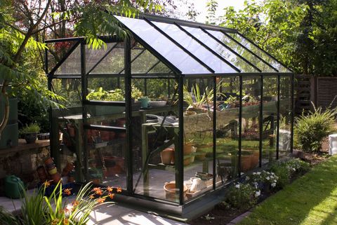 Greenhouse in garden