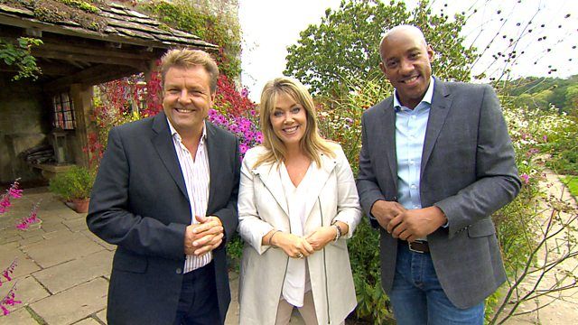 Homes Under the Hammer - Martin Roberts, Lucy Alexander and Dion Dublin