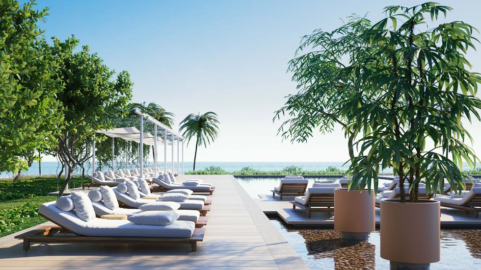 Outdoor furniture, Flowerpot, Sunlounger, Resort, Shade, Tropics, Houseplant, Palm tree, Chaise longue, Seaside resort, 