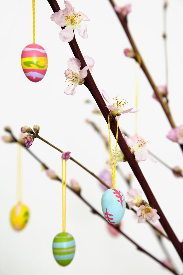 Easter Trees: Where To Buy An Easter Egg Tree & Decoration Ideas