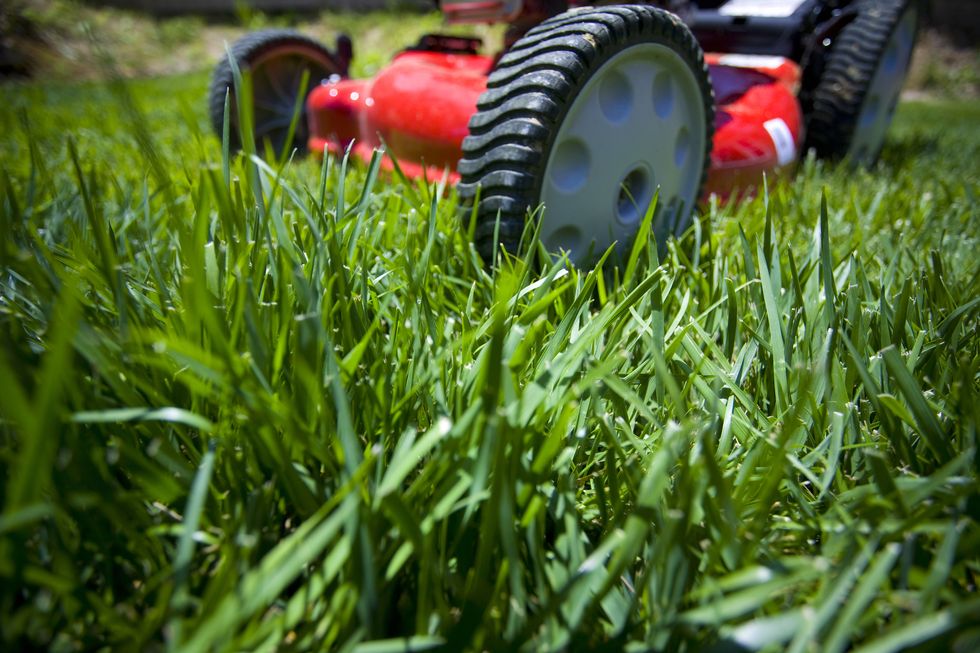 Mowing the lawn: Shallow depth of field shot of the front of a lawnmower on an unruly lawn.