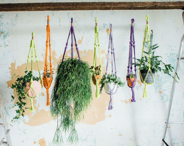 MAKE A MACRAMÉ PLANT HANGER - Living with Plants by Sophie Lee