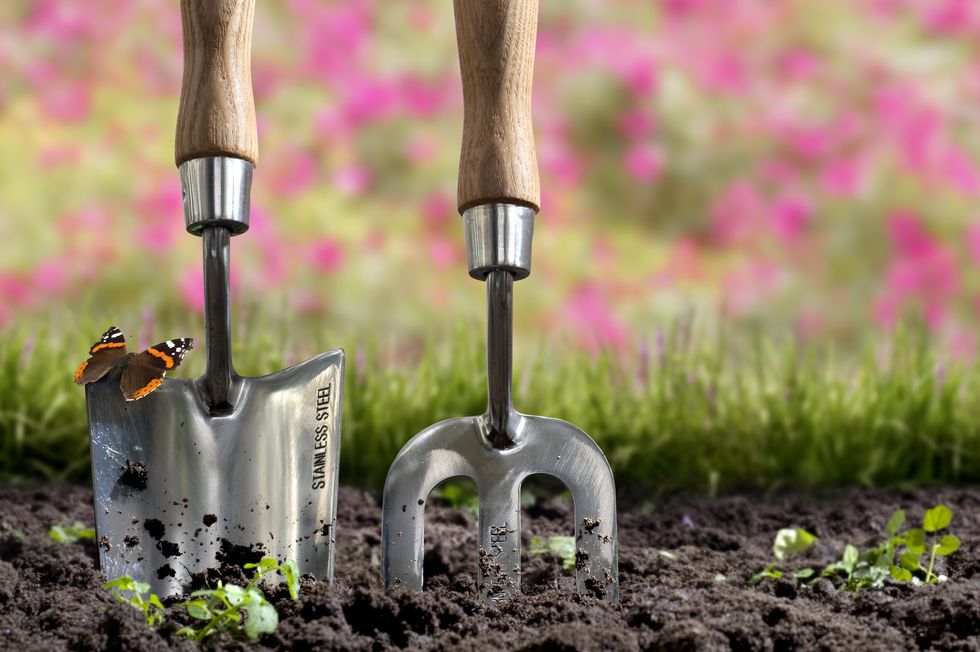 Springtime Gardening - digging