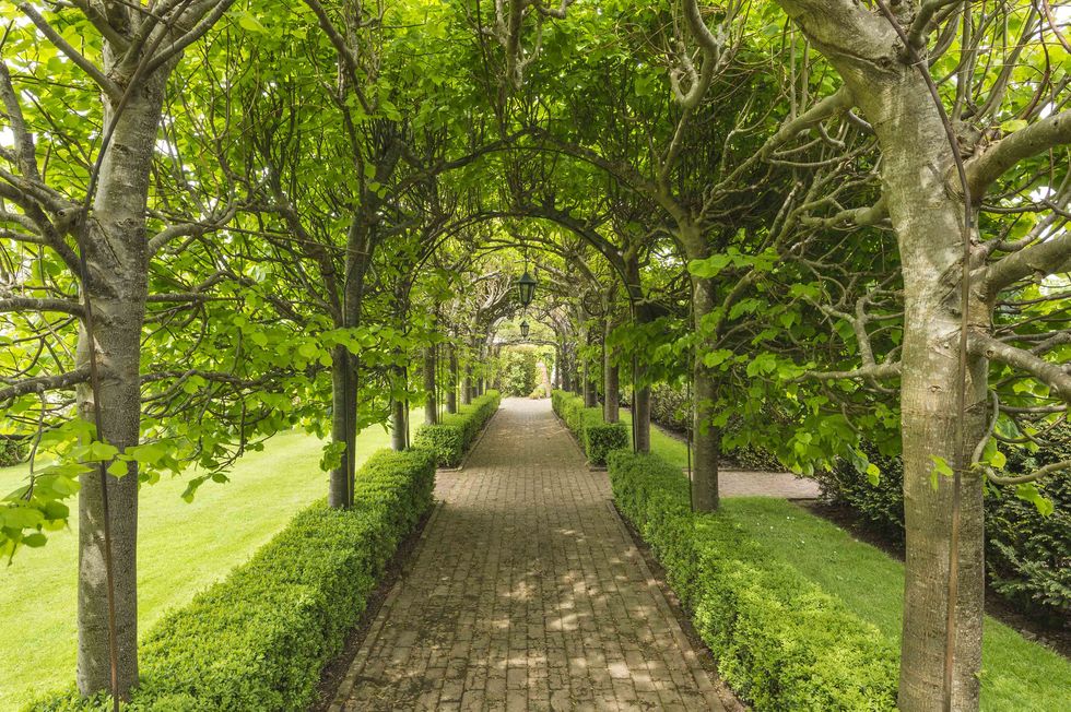 Chailey Moat garden path, Savills