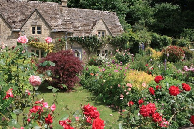 cottage garden