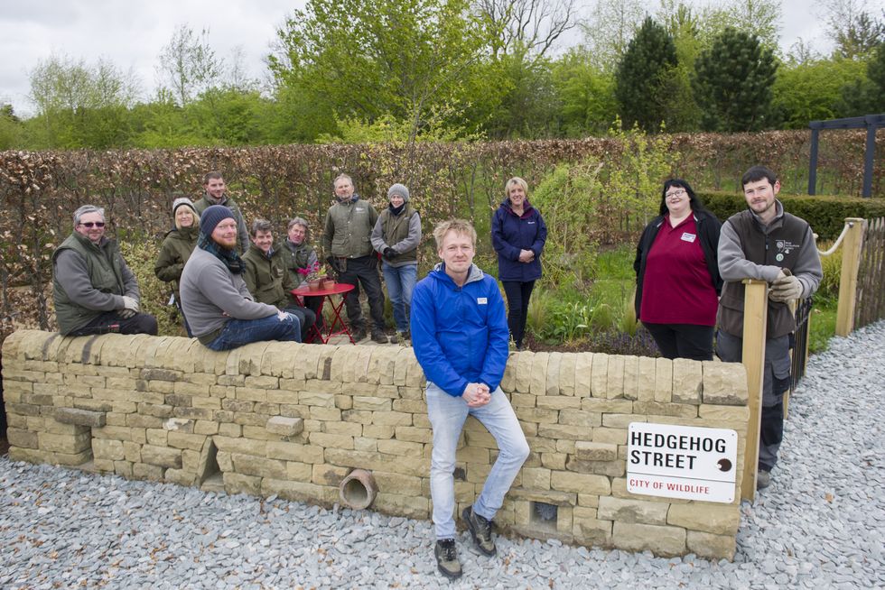 The first permanent Hedgehog Street garden in the UK has been unveiled at RHS Harlow Carr, North Yorkshire