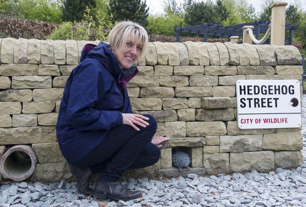 The first permanent Hedgehog Street garden in the UK has been unveiled at RHS Harlow Carr, North Yorkshire