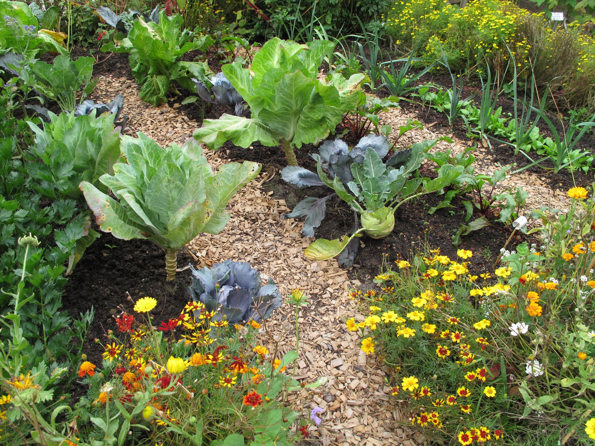 Kitchen Gardens 12 Ways To Reap The Benefits