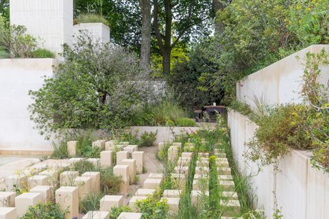 The M&G Garden. Designed by: James Basson. Sponsored by: M&G Investments. RHS Chelsea Flower Show 2017.