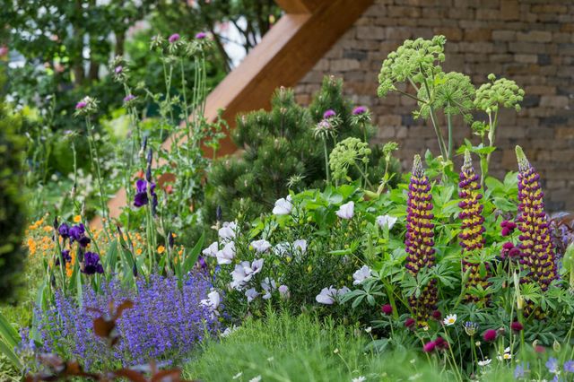The Morgan Stanley Garden. Designed by: Chris Beardshaw. Sponsored by: Morgan Stanley. RHS Chelsea Flower Show 2017.