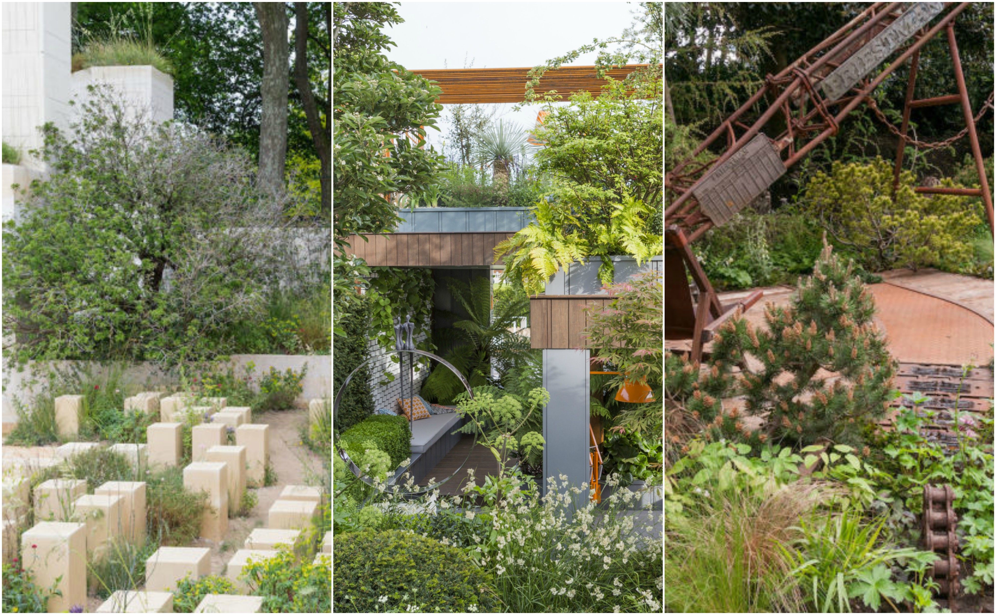 Chelsea Flower Show 2017 Special Award Winners Revealed