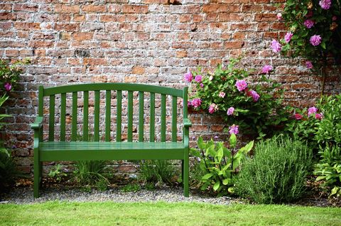 Green garden bench in bright garden against brick wall