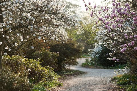 6 Reasons To Love Rhs Garden Wisley Beautiful Gardens