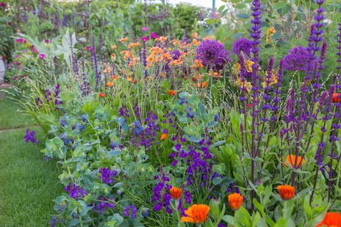 The Anneka Rice Colour Cutting Garden. Designed by: Sarah Raven. RHS Chelsea Flower Show 2017. BBC Feel Good Garden