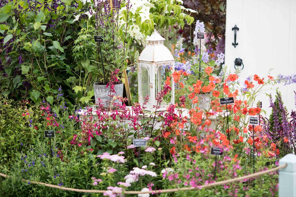 Mary Berry and Alan Titchmarsh open the first ever RHS Chatsworth ...