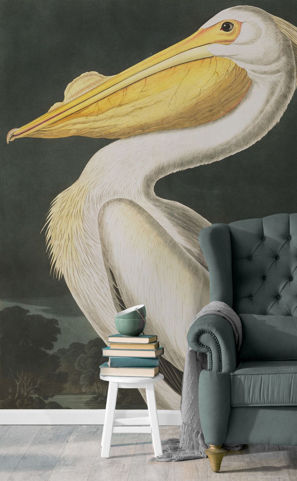The Audubon Collection - birds - Murals Wallpaper.
Illustrations by J.J. Audubon, The Birds of America