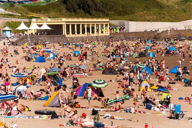 People on beach, Sun tanning, Crowd, Beach, Sand, Summer, Tourism, Spring break, Fun, Leisure, 