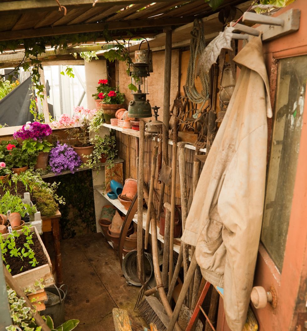 Tool shed filled with multiple supplies for gardening