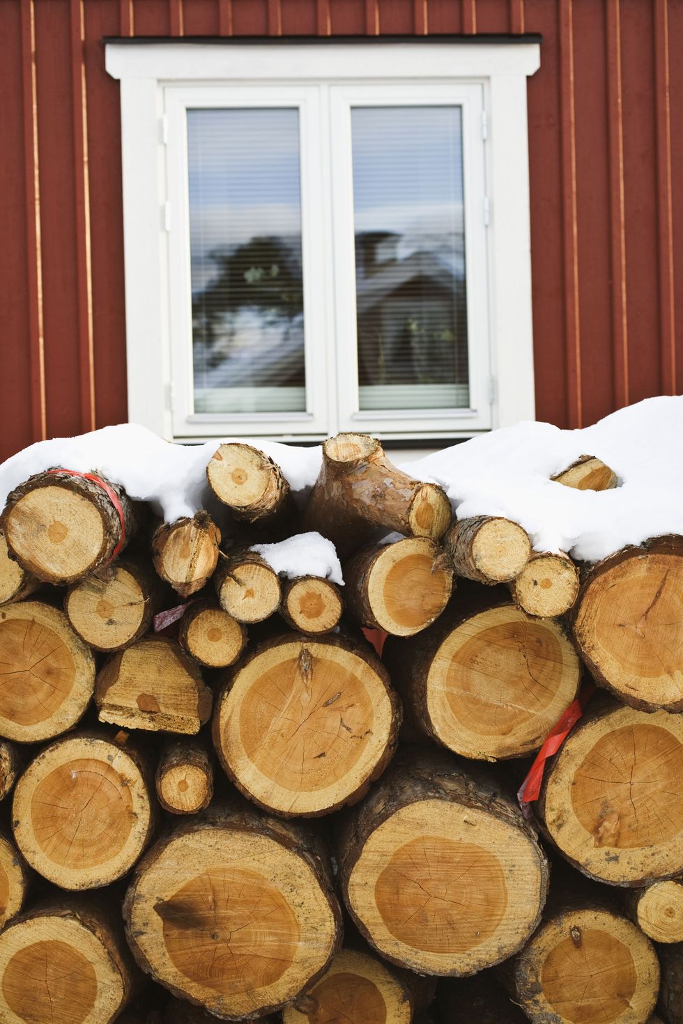 <p>It may be convenient, but stacking firewood against the exterior of your home is a no-go. Both logs and plants can form a literal bridge for termites and critters looking to get inside, Bell says. Maintain&nbsp;at least a 6-inch gap between siding and foliage, and store&nbsp;nothing against the walls.&nbsp;</p>