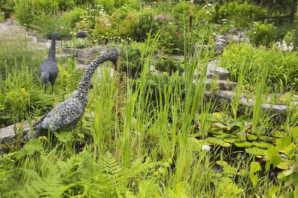 Ornamental pond with wire mesh statues in a landscaped back yard garden in spring
