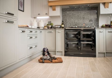 10 Pet Friendly Interior Tips For Your Home