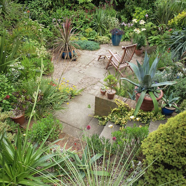 Gardens are getting smaller so how are gardeners adapting to limited space? on Tiny Courtyard Gardens
 id=64746