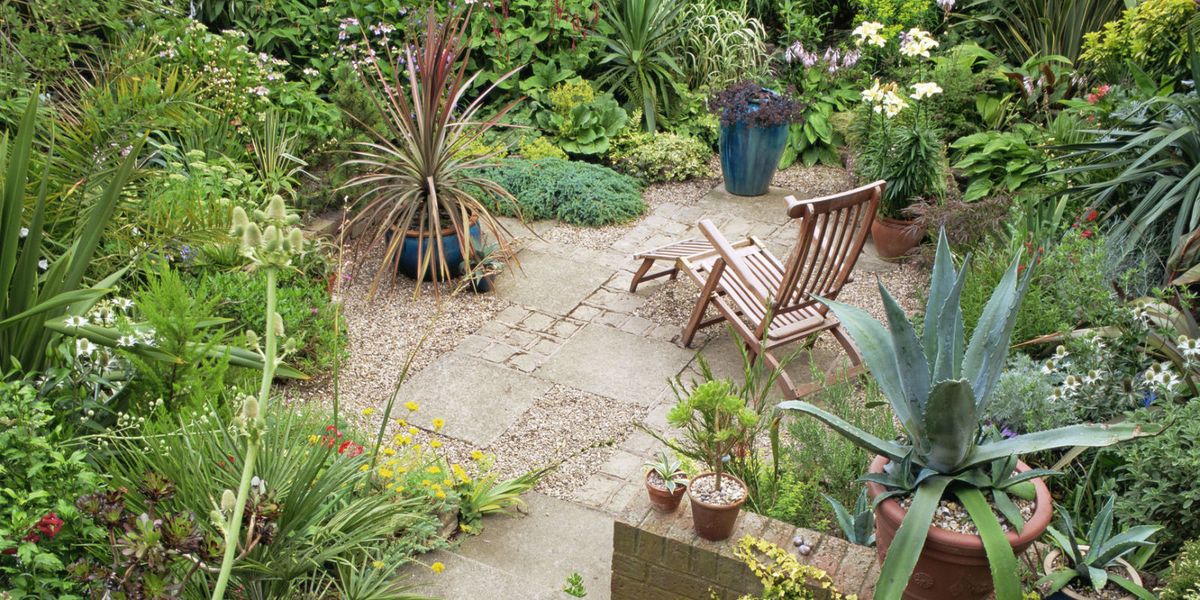 Gardens are getting smaller so how are gardeners adapting to limited space?