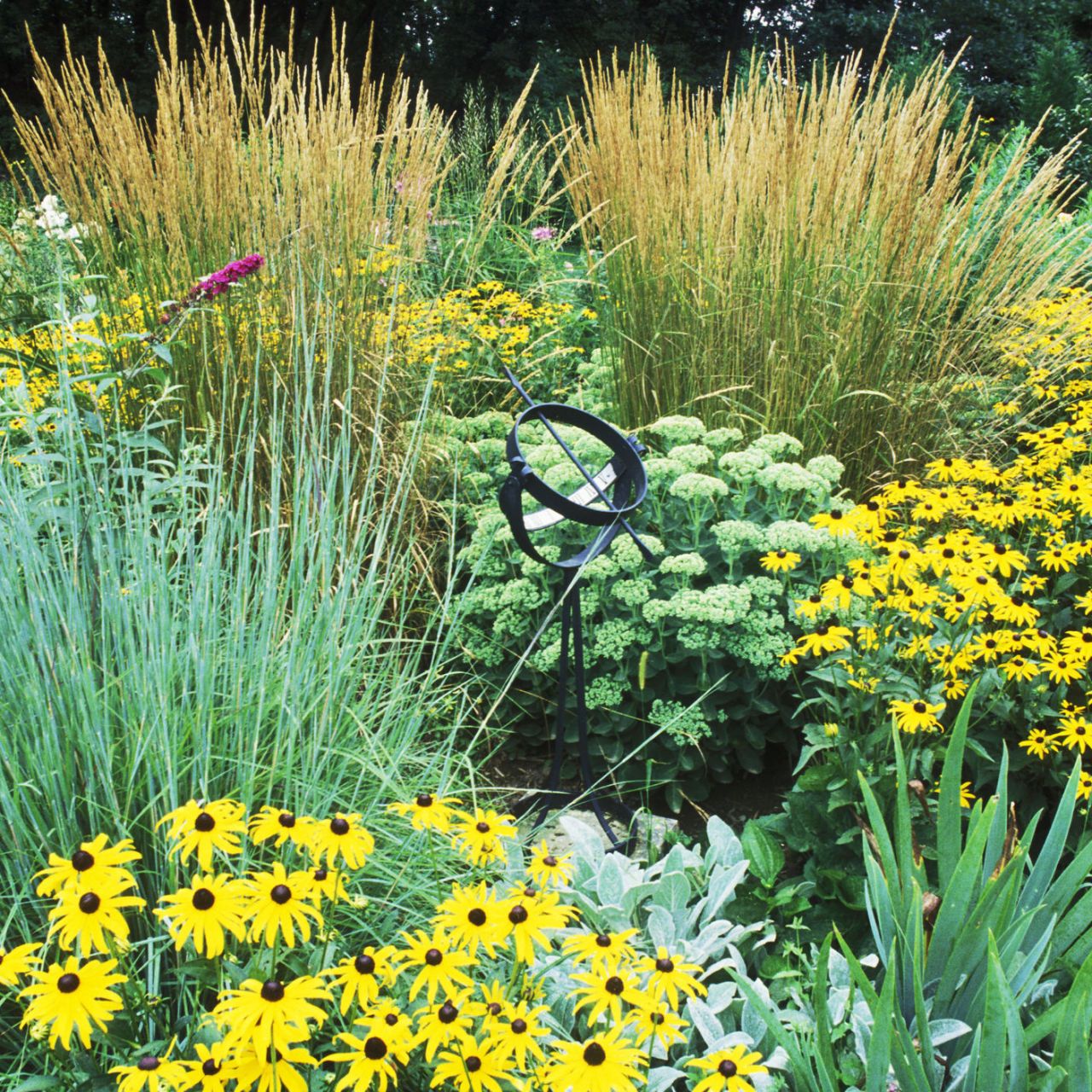 Planting grasses deals