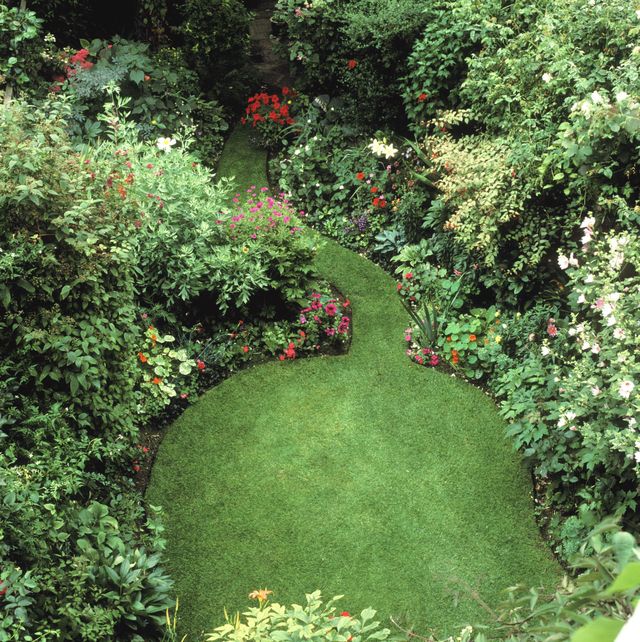 Aerial view of town garden, neat circular lawn with serpentine grass