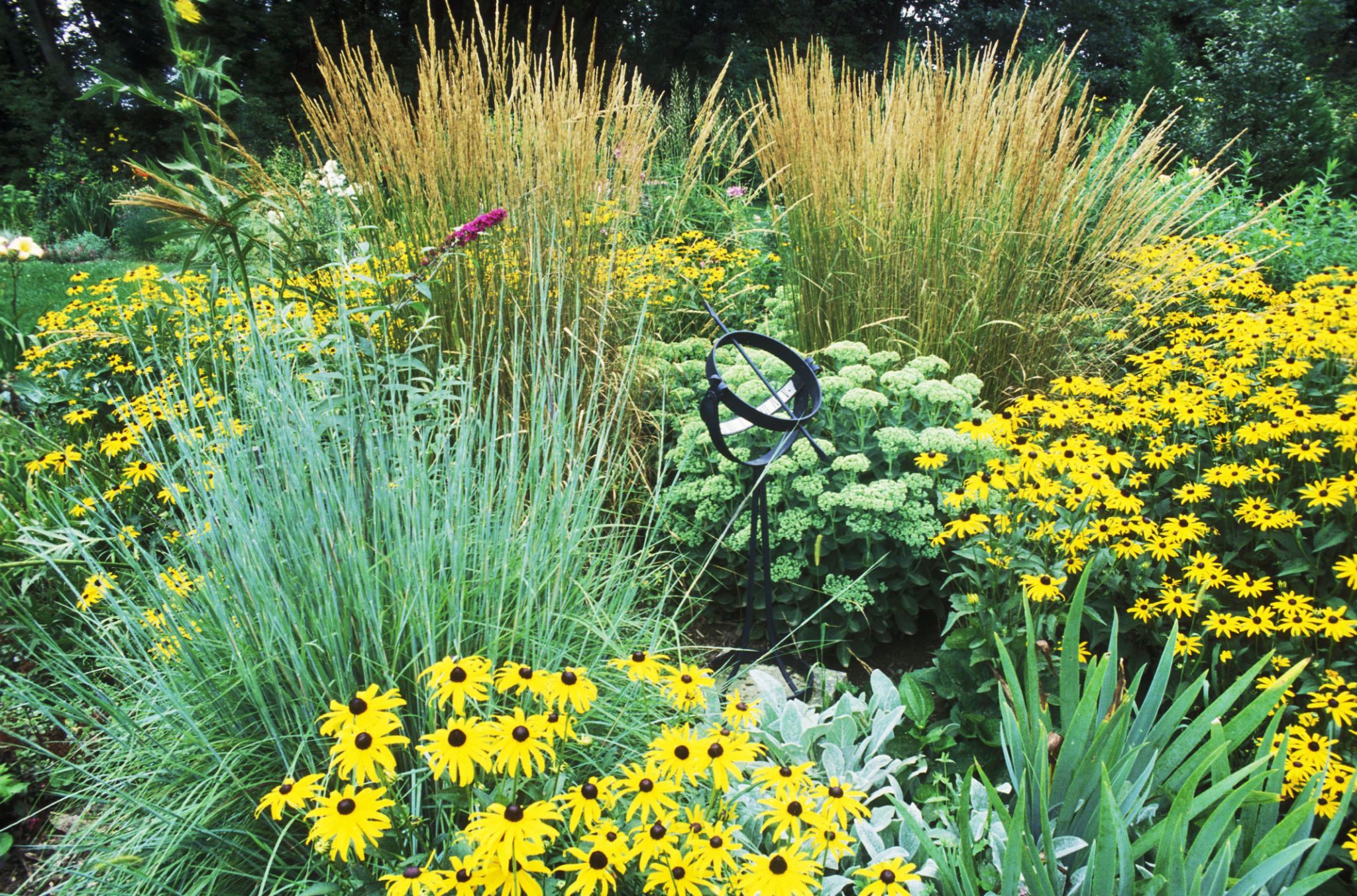 Best Ornamental Grasses For Your Garden   Gallery 1502207205 Ornamental Grasses 