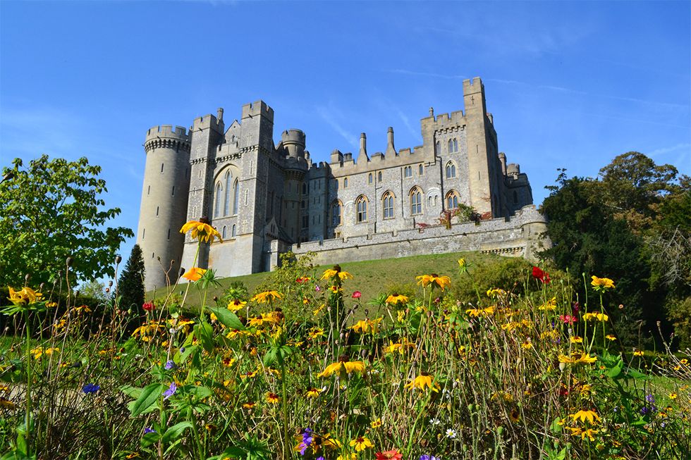 Castle, Vegetation, Sky, Natural landscape, Landmark, Château, Wildflower, Building, Spring, Flower, 