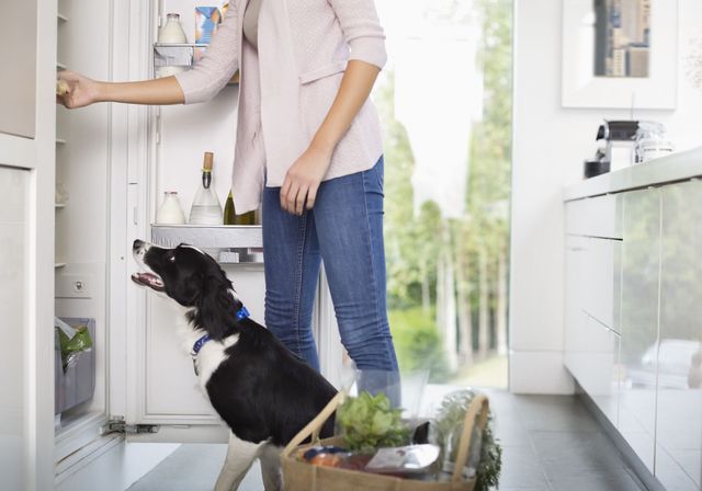 Dog and woman looking inside fridge