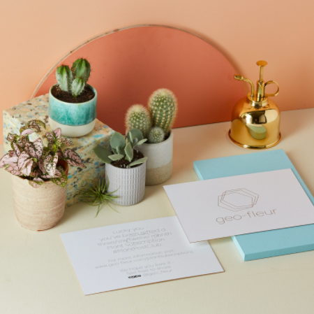 5 Best Homeware Subscription Bo For Interiors
