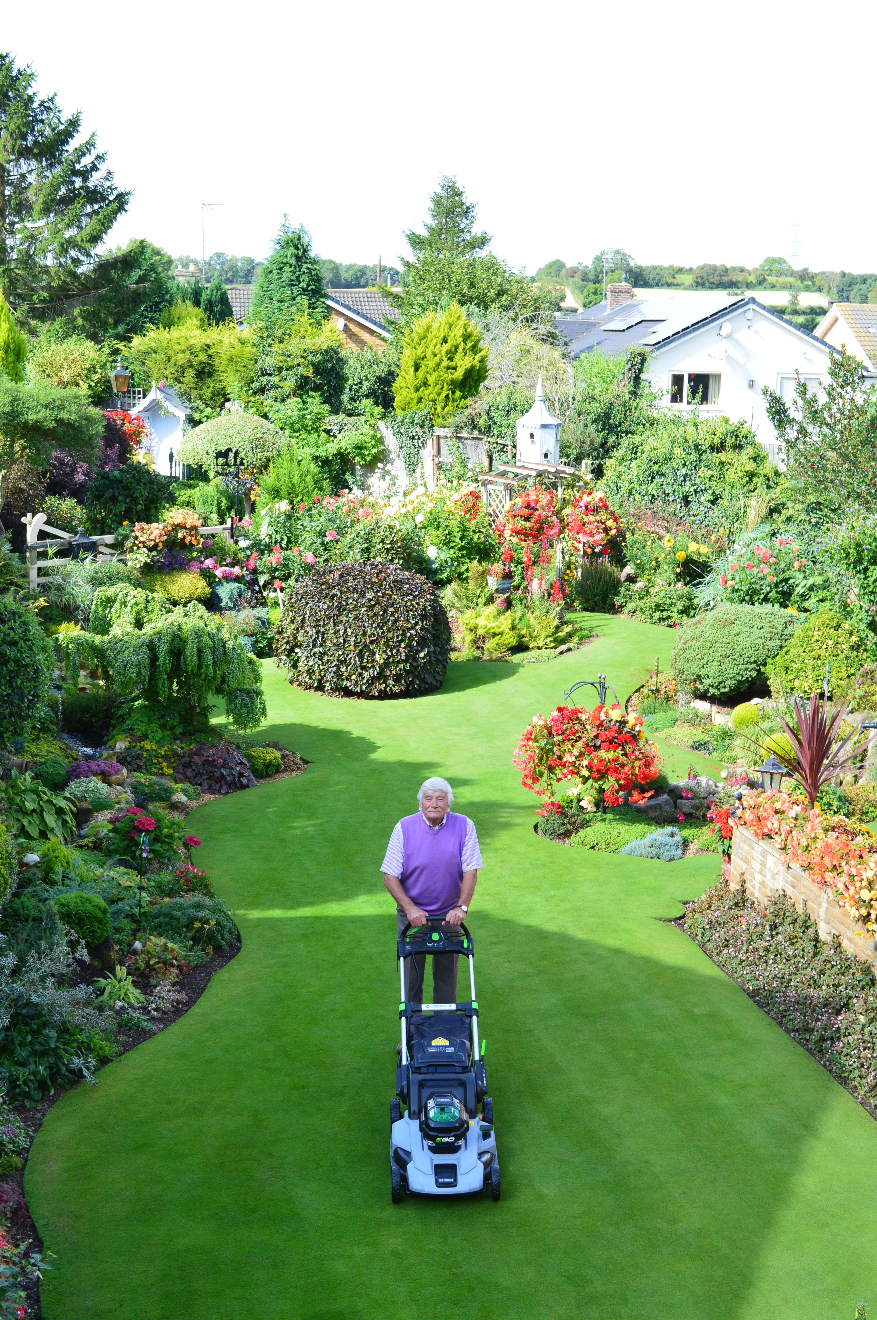 Best lawn discount