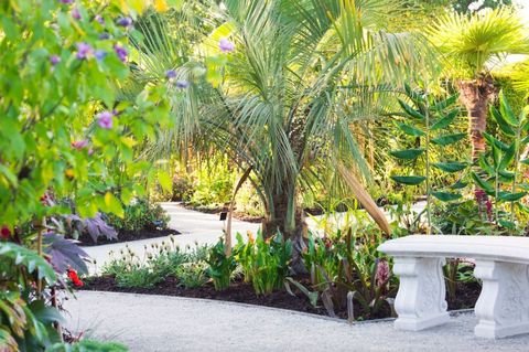 RHS Garden Wisley - exotic garden